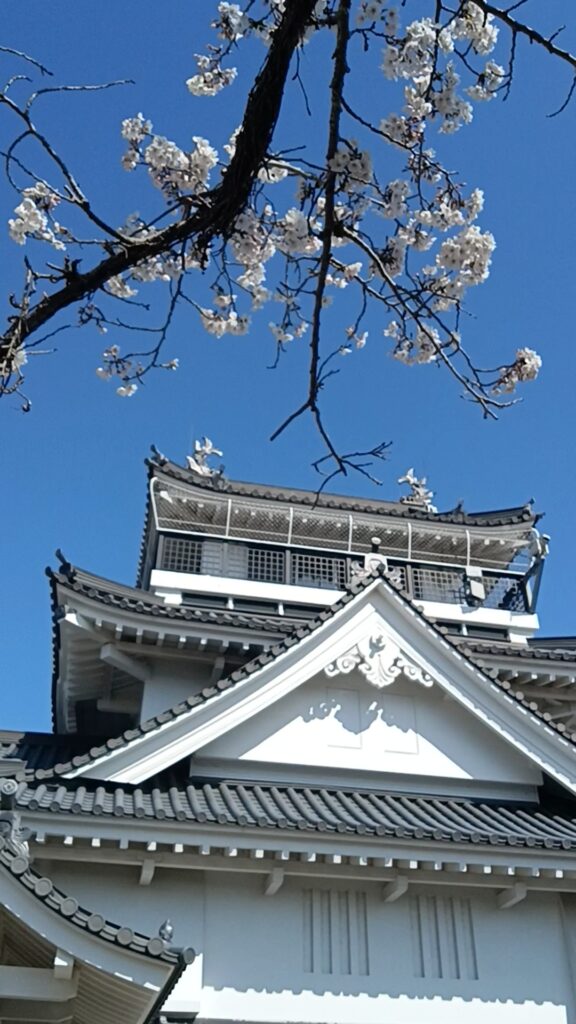 妙見山公園