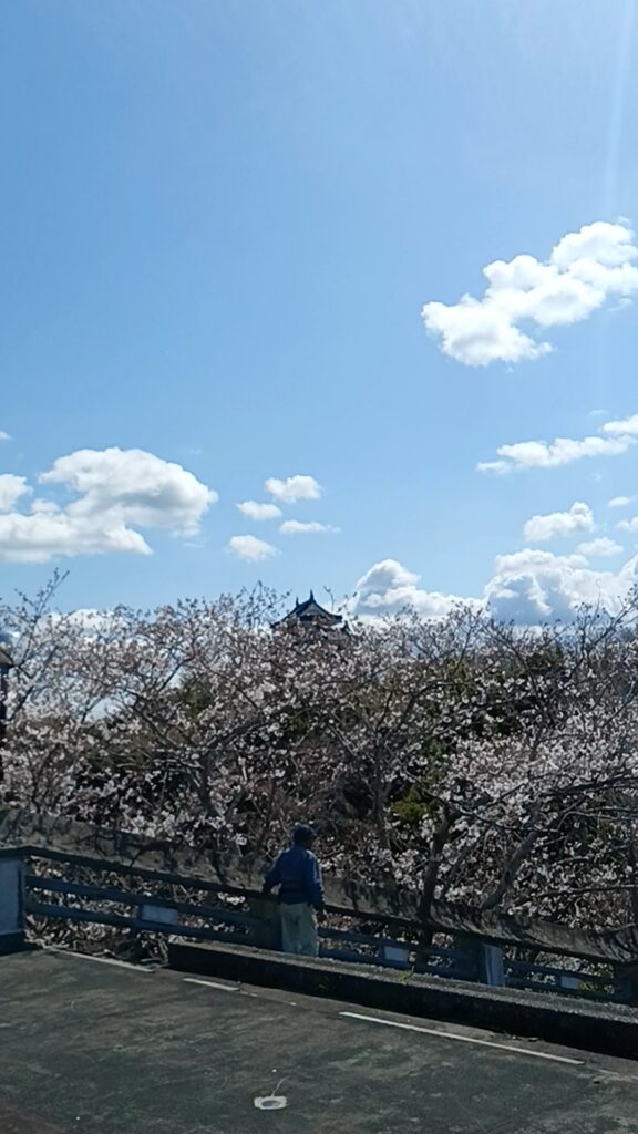 妙見山公園