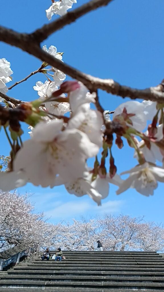 妙見山公園