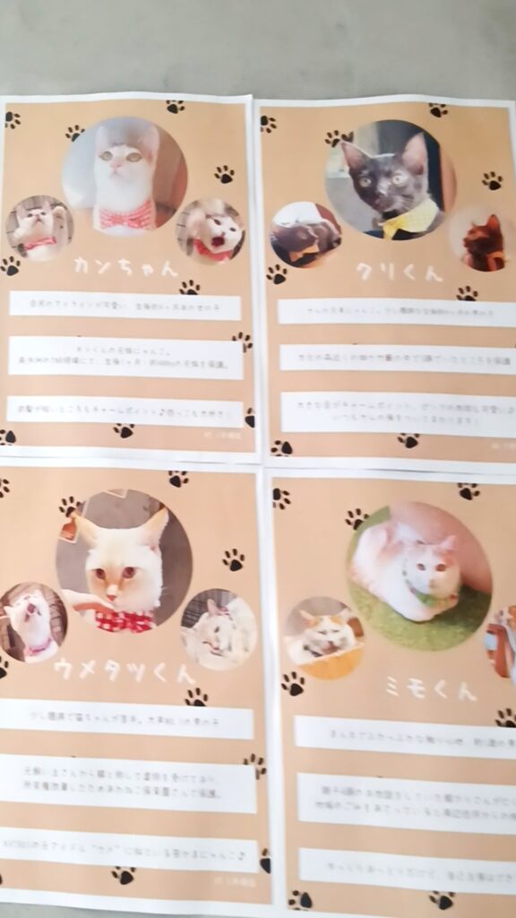 保護猫カフェKATBOS