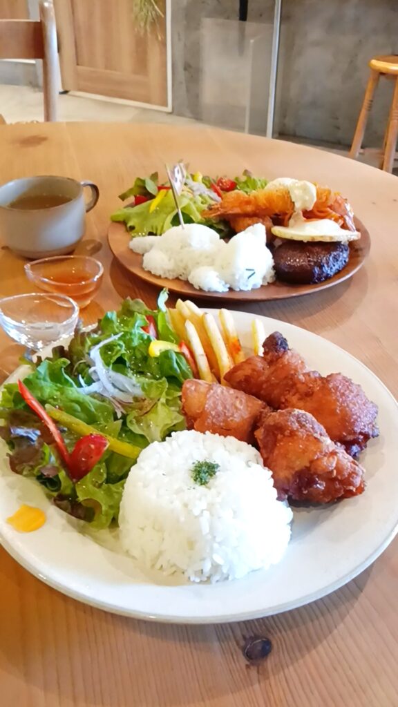 保護猫カフェKATBOS