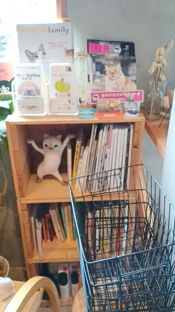 保護猫カフェKATBOS