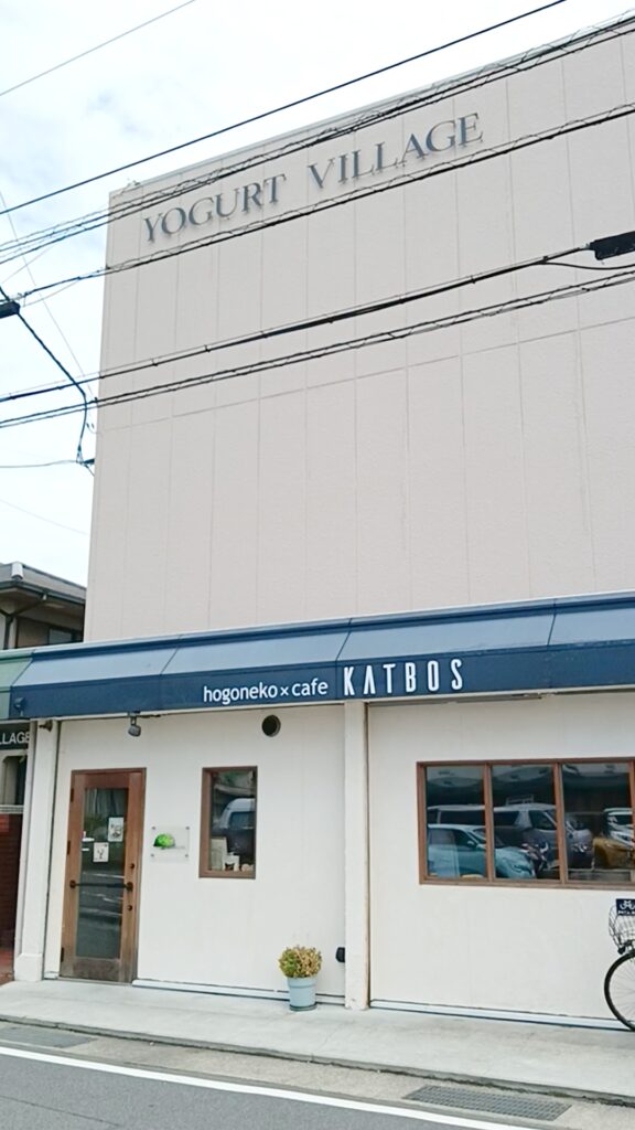 保護猫カフェKATBOS