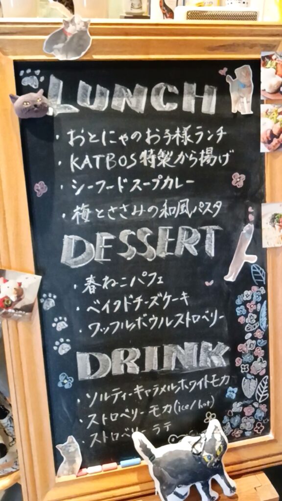 保護猫カフェKATBOS