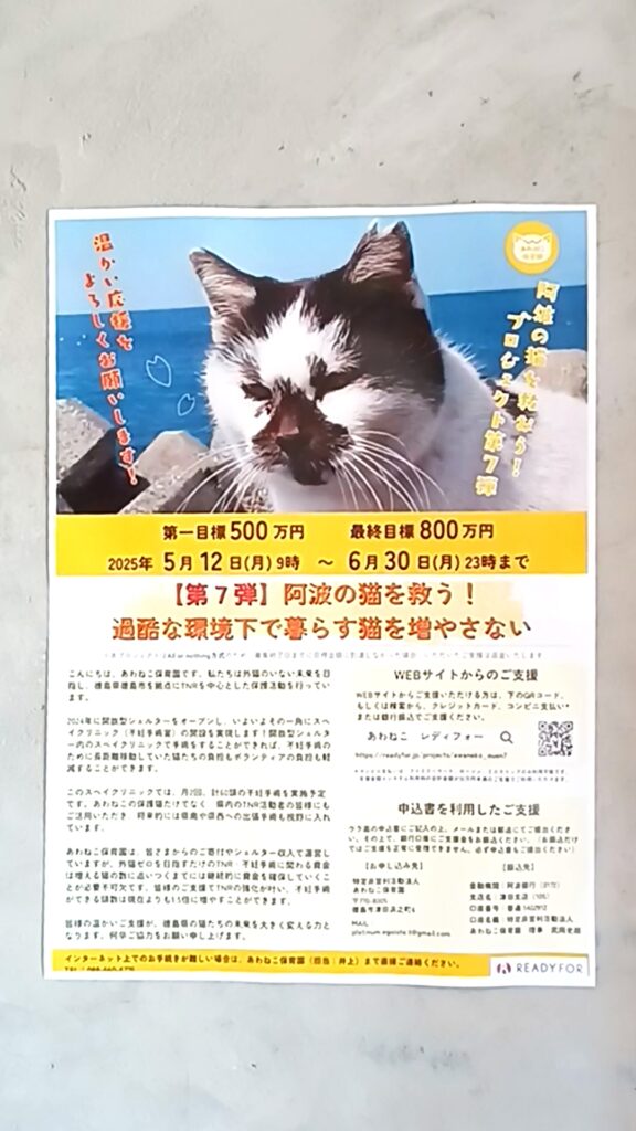 保護猫カフェKATBOS