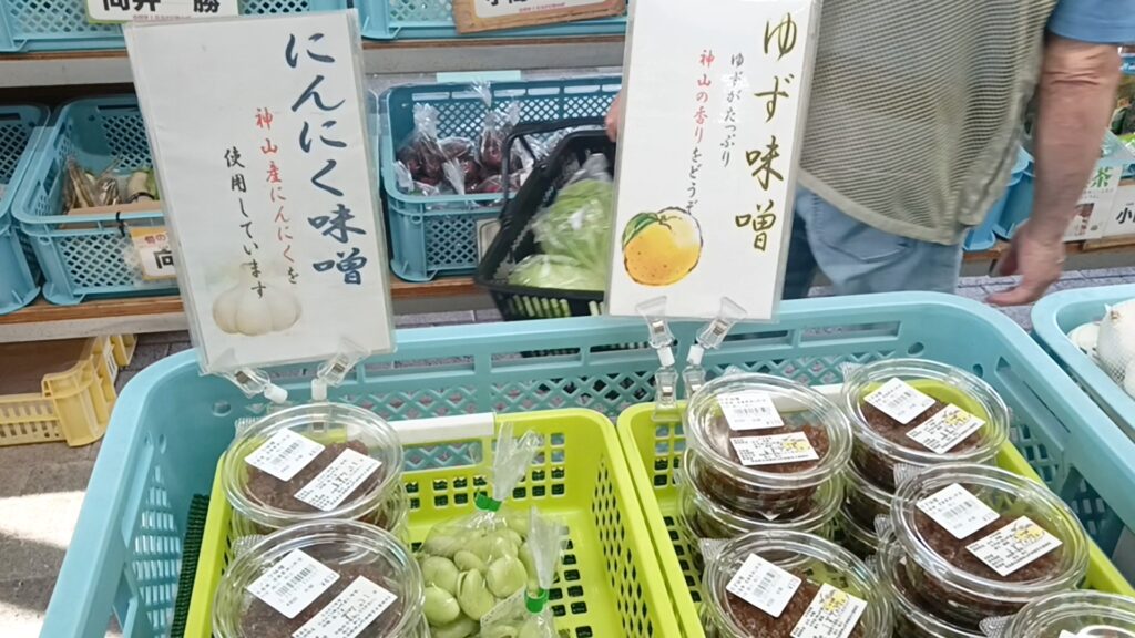 道の駅温泉の里神山