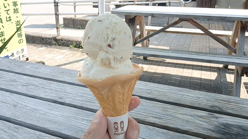 道の駅温泉の里神山