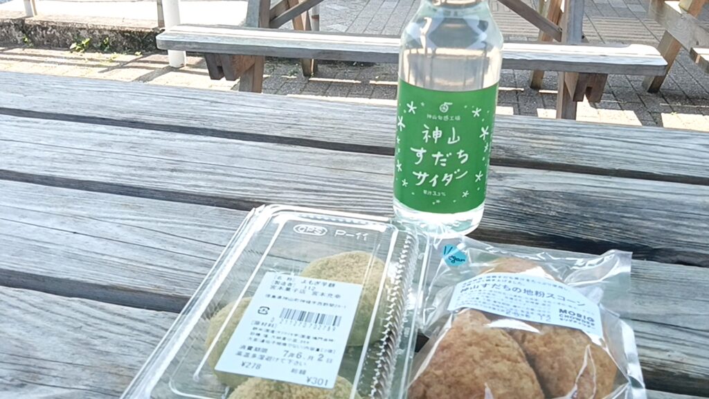 道の駅温泉の里神山